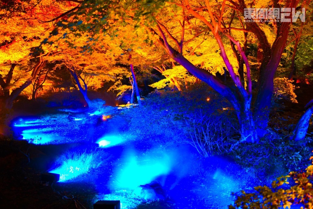 秋季會舉辦「庭紅葉之六義園」夜間特別觀賞活動。