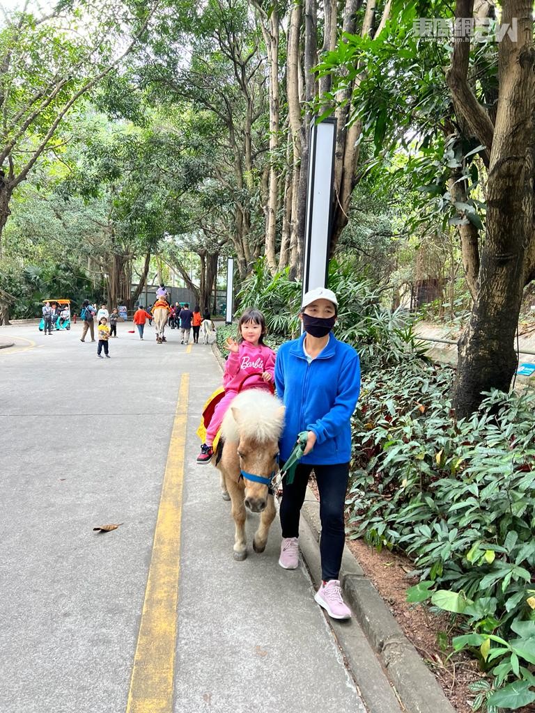 小朋友可以騎馬仔合照或騎馬仔在園區裏行走一會兒，感受一下騎馬仔的樂趣。