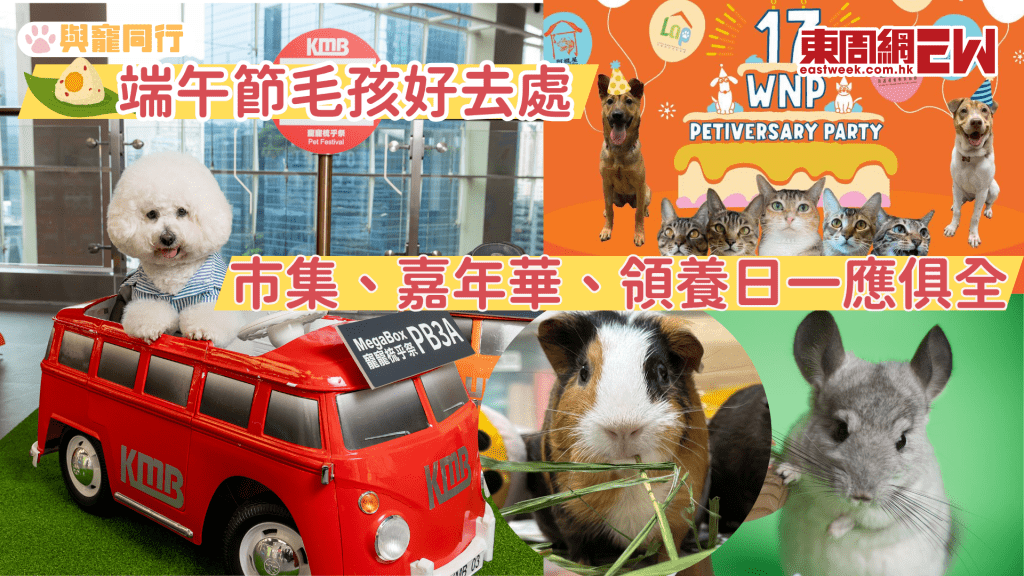 毛孩好去處│Whiskers N Paws週年慶典派對、MegaBox毛孩市集、毛守人寵慈善行、將軍澳唐狗領養日