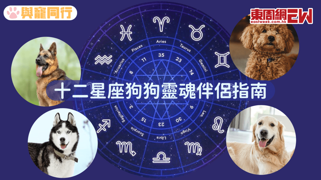 12星座與犬種特質的完美契合 看看誰是你的命定毛孩