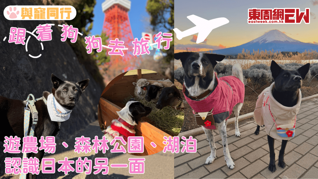 跟着狗狗去旅行 由名古屋玩到東京 讓彼此關係更親密