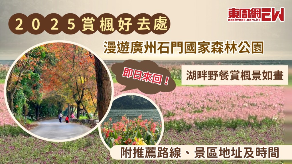 2025年賞楓好去處｜漫遊廣州石門國家森林公園 湖畔野餐賞楓景如畫