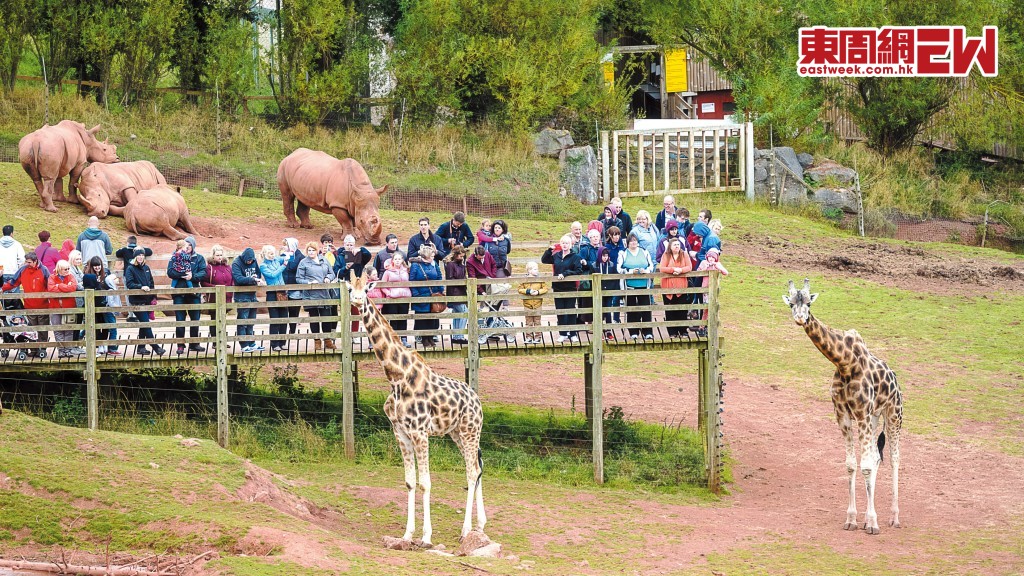 開業三十年的南湖野生動物園一直問題多多,近年屢傳出虐待及養死動物事件,近日在多方壓力下宣布關閉。