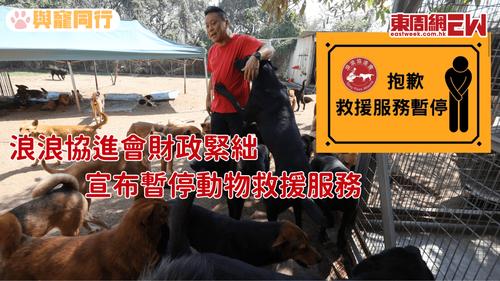 浪浪協進會財政緊絀宣布暫停動物救援服務 「請體諒!我們撐不下去了」