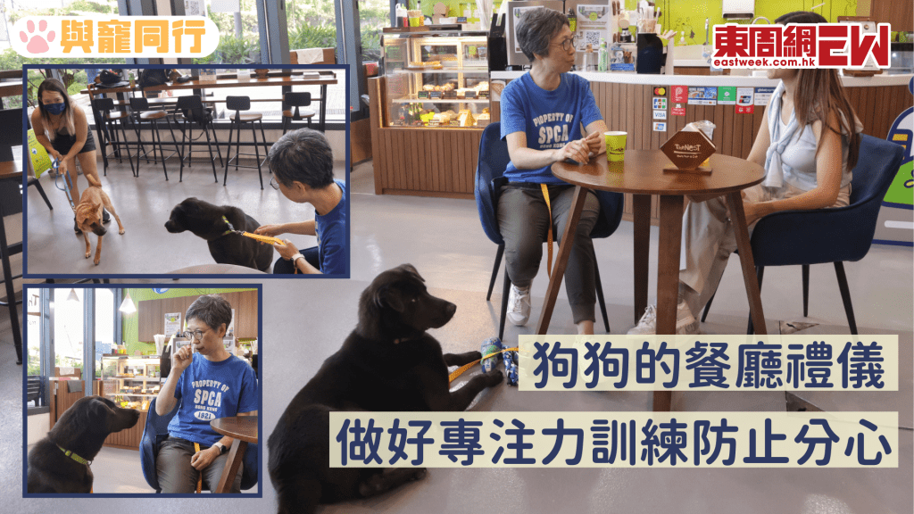 狗狗的餐廳禮儀 做好專注力訓練勿讓牠分心