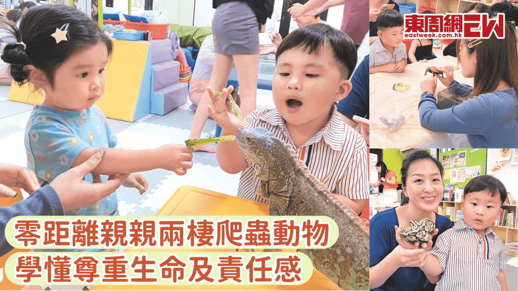 零距離親親綠鬣蜥、球蟒 學懂尊重生命及培養責任感