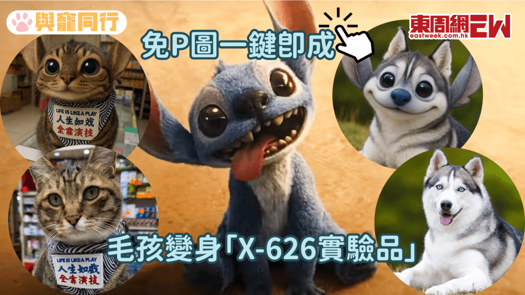 毛孩變身史迪仔 免手動P圖一鍵即成「X-626實驗品」