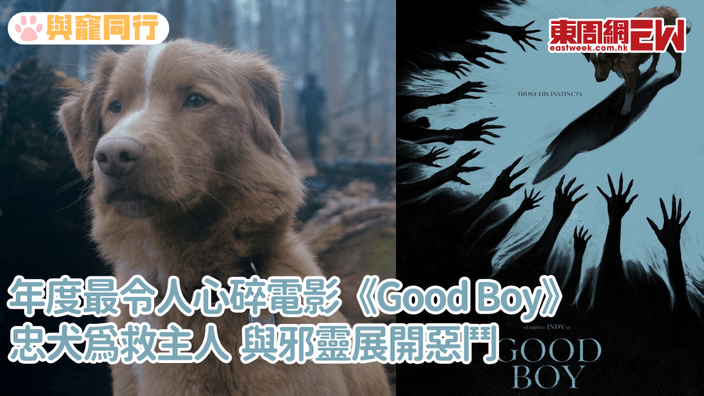 以狗狗視角拍攝驚慄片 電影《Good Boy》預告釋出 忠犬為護主與邪靈惡鬥