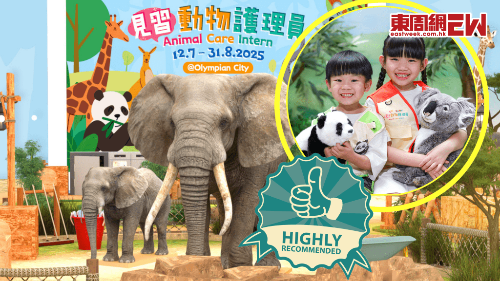 暑假又學又玩！做「見習動物護理員」 照顧熊貓、樹熊袋鼠、長頸鹿 沉浸式職業體驗
