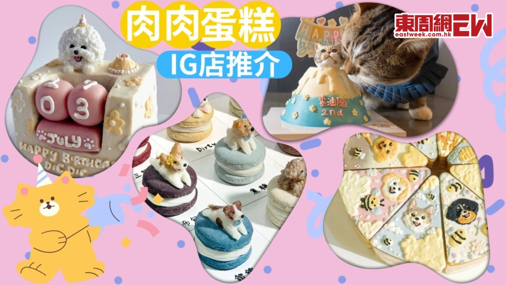 毛孩生日蛋糕 4間寵物肉肉蛋糕店推介 藥膳口味/3D立體/回禮馬卡龍/骰仔月曆蛋糕