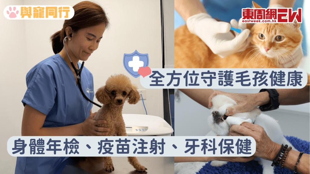 身體年檢、疫苗注射、牙科保健 全方位守護毛孩健康