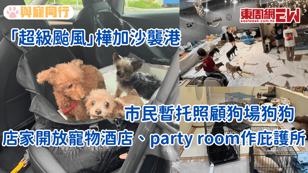 颱風樺加沙｜市民暫托照顧狗場狗狗 寵物酒店、party room成庇護所