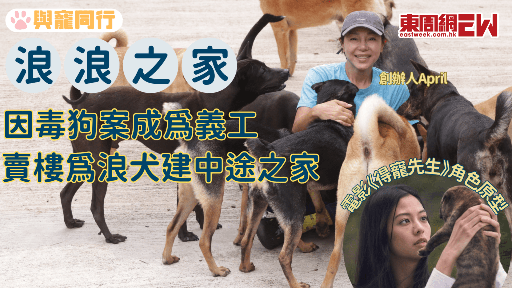 目睹過百浪狗被毒死 成立浪浪之家賣樓建狗舍為浪犬安家 