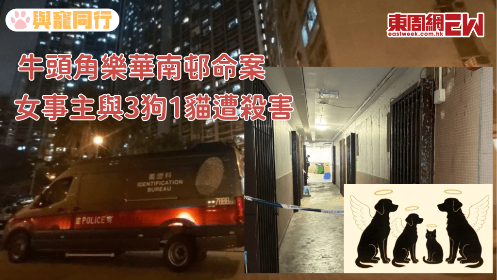 牛頭角樂華南邨命案 女事主與3貓狗1貓疑遭非華裔男友殺害