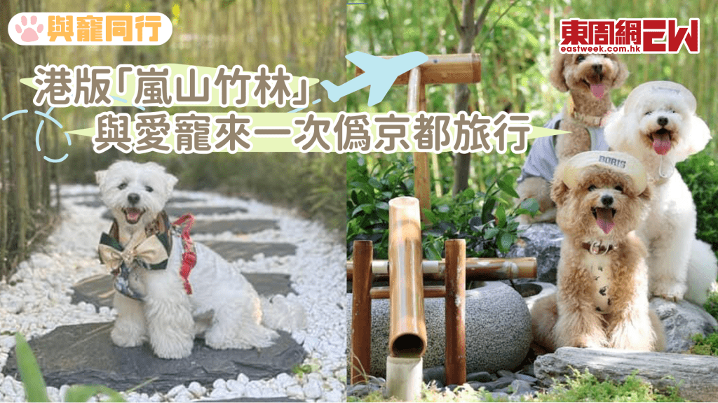 香港有個「嵐山竹林」！不用搭飛機 與愛寵來一次偽京都旅行