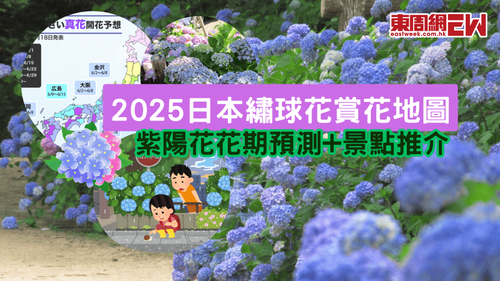 紫陽花花期預測+景點推介