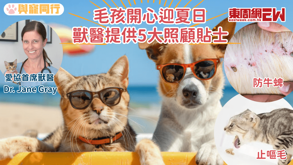 夏天貓狗需要剪毛散熱?行山狗必須注射這種疫苗 毛孩投奔盛夏5大貼士