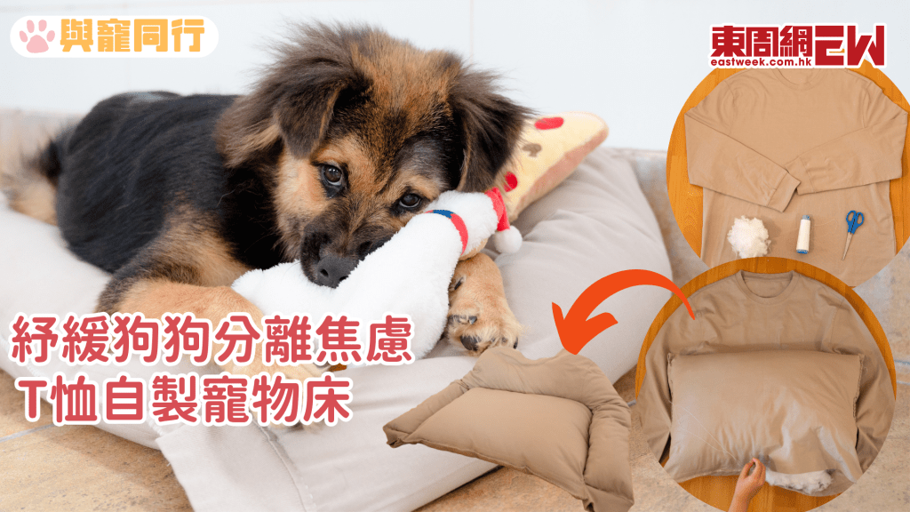 狗狗有分離焦慮症 用T恤自製充滿主人的寵物床