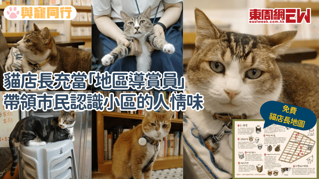 社區組織製作貓店長散步地圖 從貓貓視角認識舊區的另一面