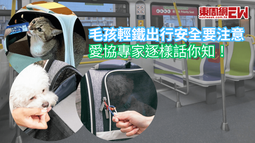 毛孩安心乘搭輕鐵 愛協專家教出門前後小貼士