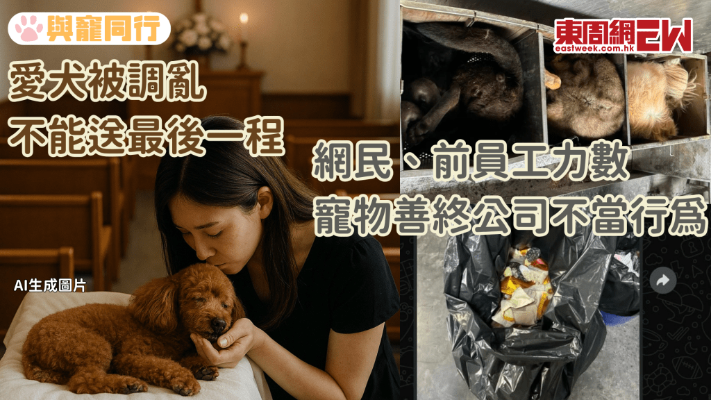 香港寵物善終公司亂象 燒錯屍、亂扔陪葬物、亂磨骨灰 前員工：「職員將遺體如對待」