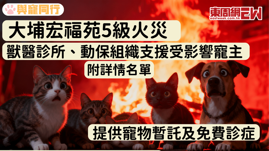 (持續更新) 大埔宏福苑5級火｜動保組織、獸醫診所支援受影響寵主 提供寵物暫託及免費診症