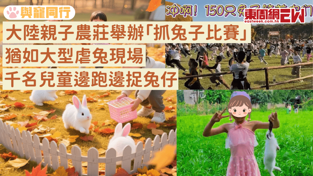 大陸親子農莊推「抓兔活動」千人衝入林間捕捉兔兔 動保組織發文抵制