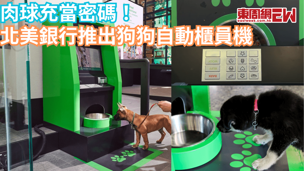 狗狗專用自動櫃員機 不用密碼 伸出肉球便獲得零食