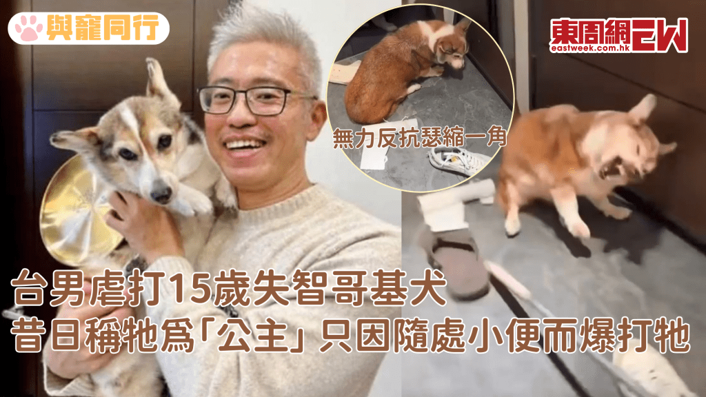 台男虐打15歲失智哥基犬 網友勸阻反駁斥「牠20歲，我還是這樣對牠。」