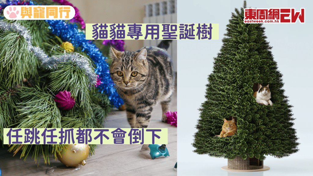 貓貓專用聖誕樹 任跳任抓都不會倒下