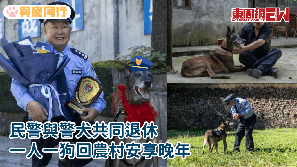 陸民警與11年戰友一同退休 回農村陪牠曬太陽散步安享晚年