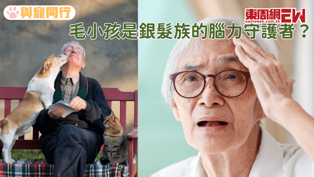 養貓養狗能對抗失智症 關鍵在於這一原因