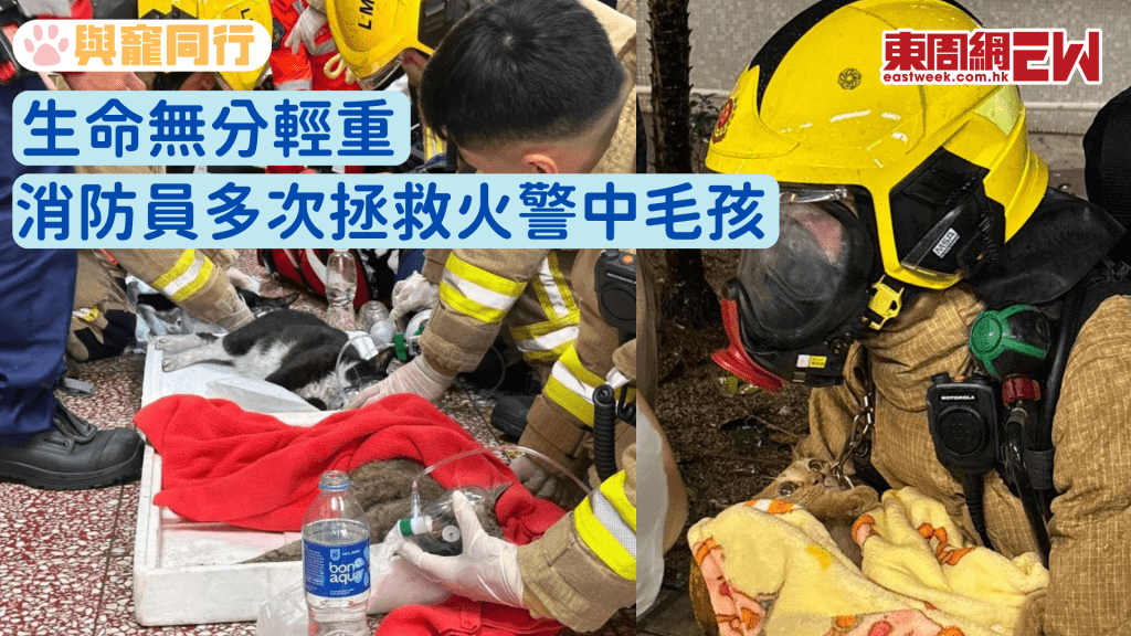 生命無分輕重 消防員多次拯救火警中毛孩