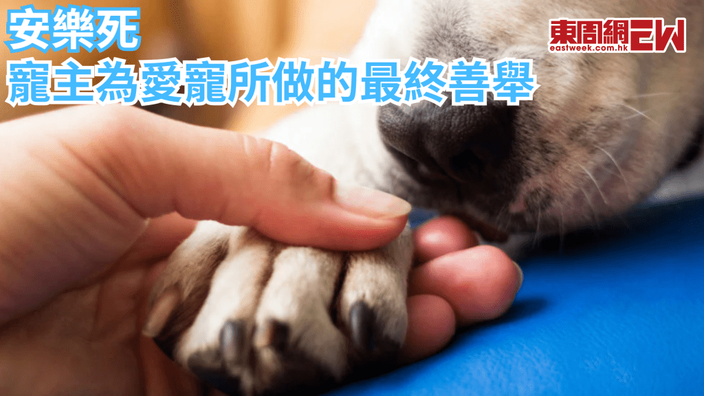 寵物甚麼時候需要安樂死？寵主應如何面對？