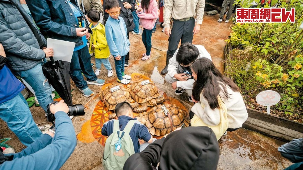 西貢龜途社區教育基地日前開幕，為社區連結及生命教育工作注入動力。