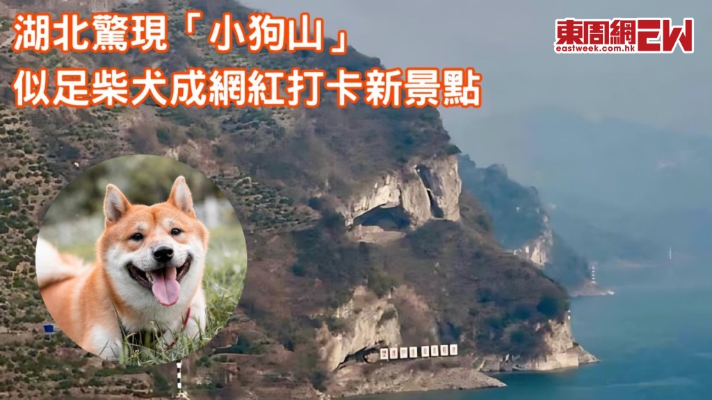 湖北驚現「小狗山」似足柴犬  成網紅打卡新景點