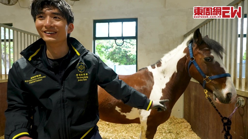 一日打工限定|張馳豪落手落腳清理馬屎 估佢唔到仲讚馬屎零異味