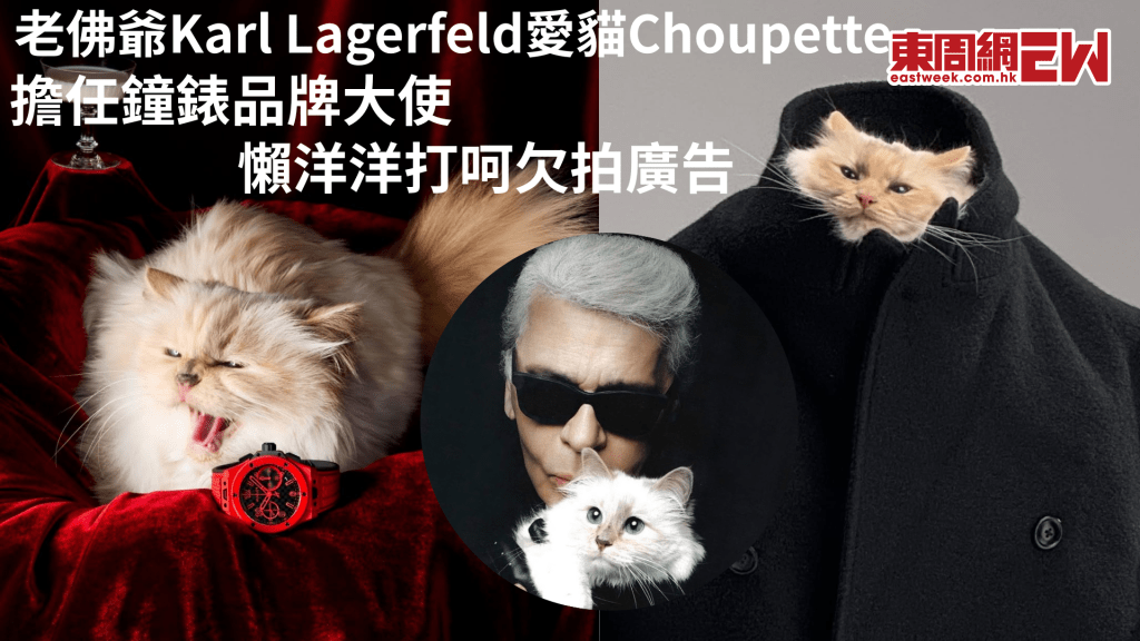 世界最富有貓咪 Chanel「老佛爺」愛貓Choupette要打工賺錢？