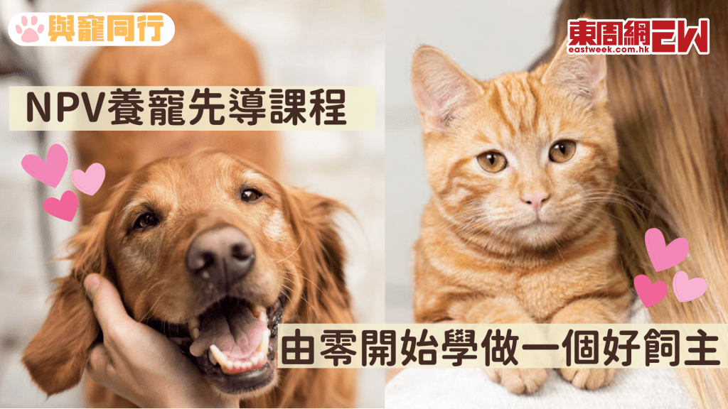 NPV舉辦養寵先導課程 獸醫、動物行為師等專業人士開講 由零開始學做一個好飼主