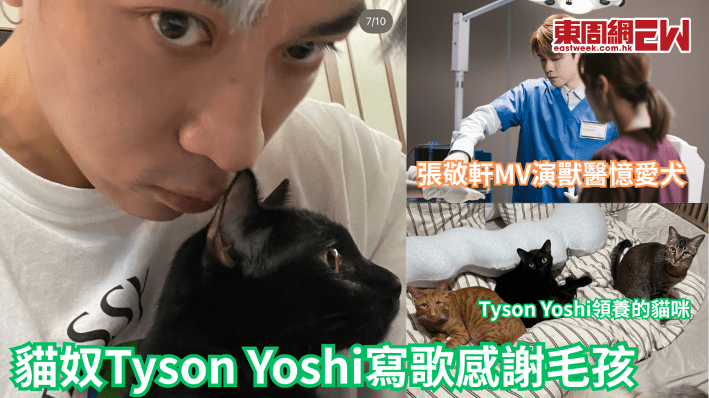 Tyson Yoshi與張敬軒合唱新歌《By My Side》 心痛粉絲愛貓被虐致死 以歌詞感謝毛孩