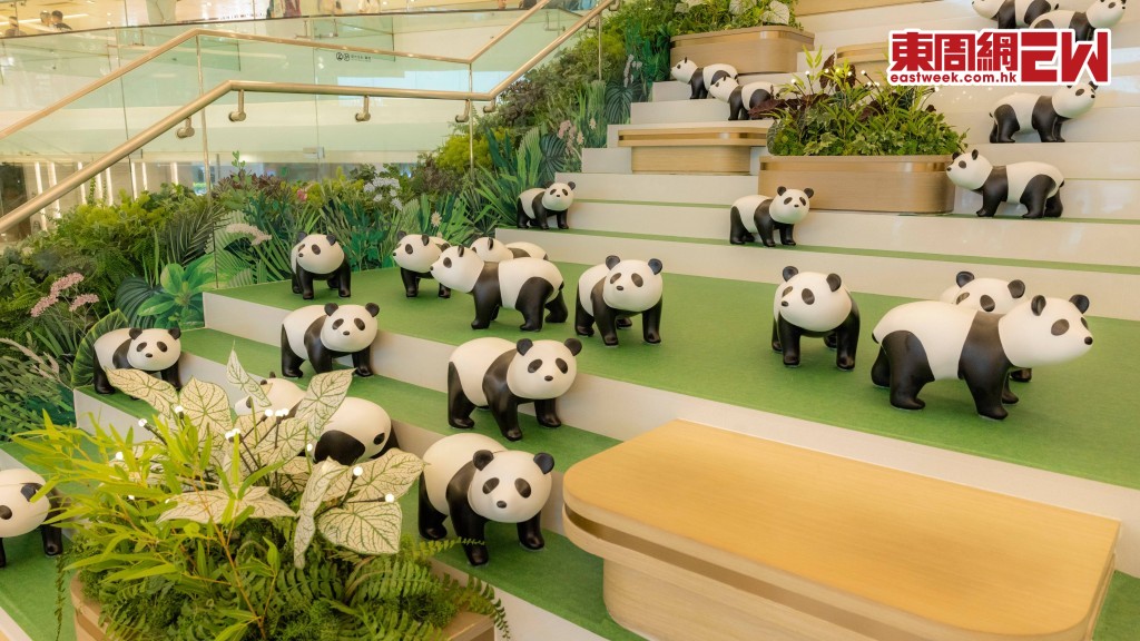 Chill級熊貓應援團