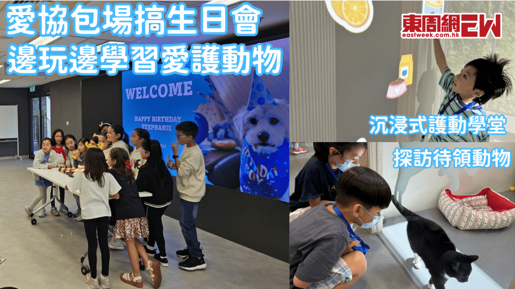 愛協推出包場搞生日會 親手做玩具給待家毛孩 邊玩邊學習愛護動物