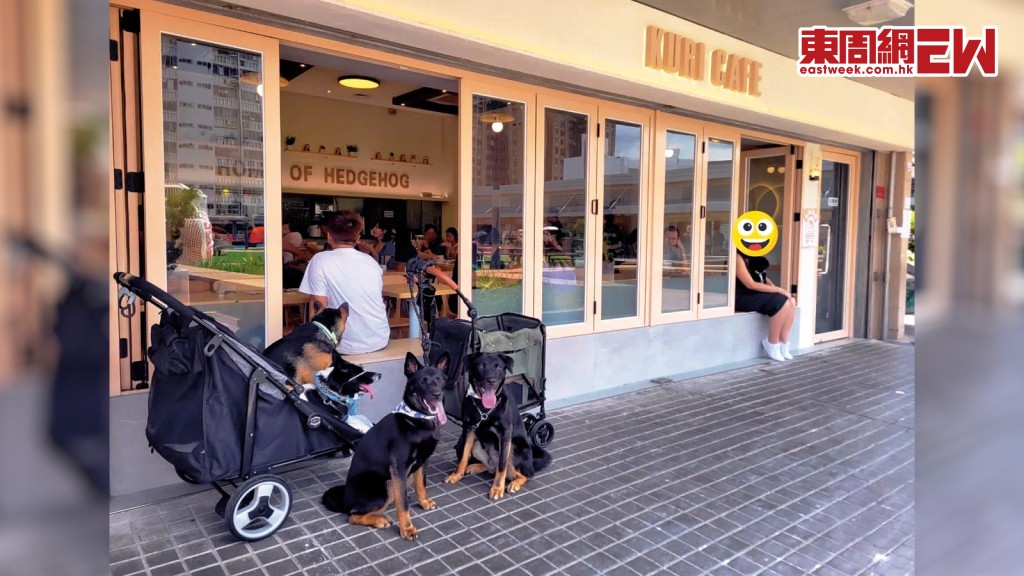 大埔一間寵物友善餐廳今年初因准許狗隻入內，違反《食物業規例》而被罰停業七天。