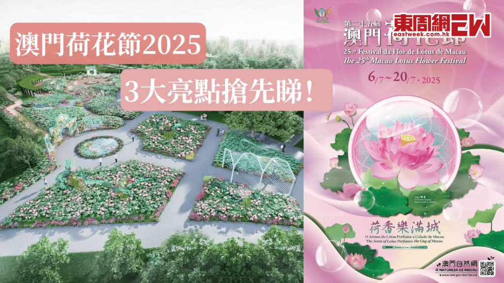 澳門荷花節2025 | 3大亮點搶先睇!七月來澳門赴一場與荷花的夏日之約!