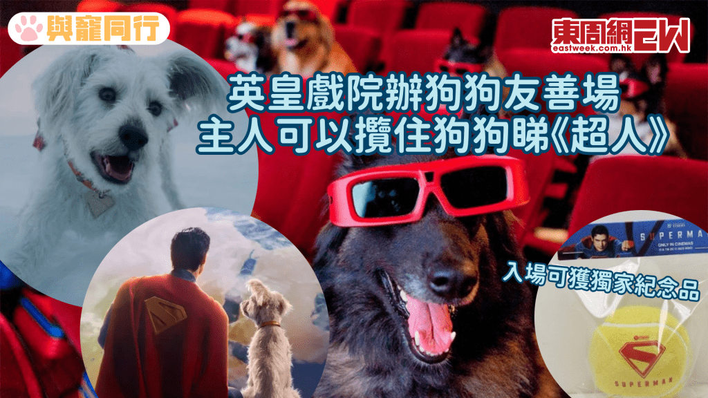 電影《超人》設狗狗友善場 入場可獲紀念版彈彈球、狗狗專屬戲飛