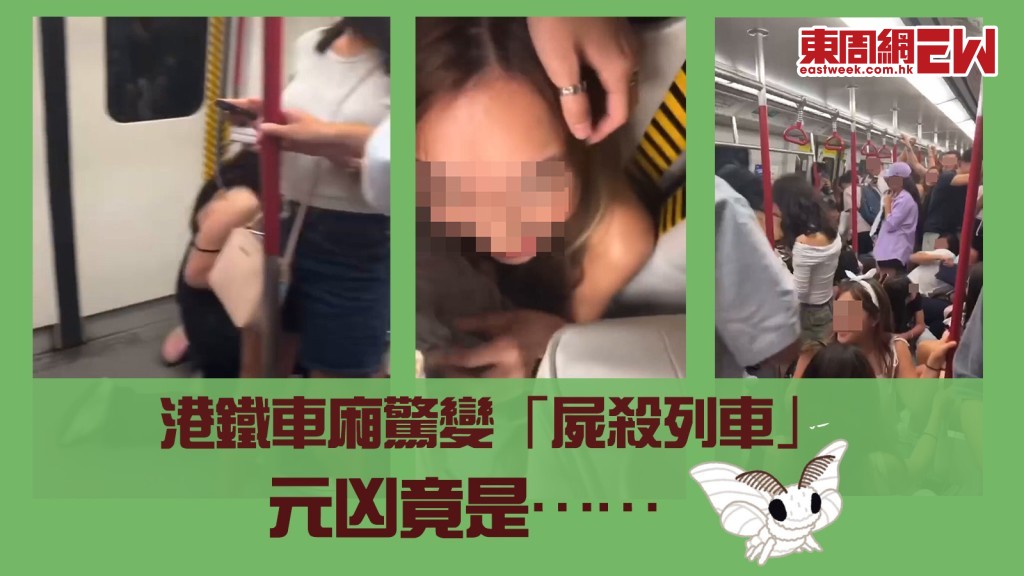 車廂驚慄11秒｜港鐵乘客大騷動 女生尖叫避讓 腳軟跪逃 元兇竟是……