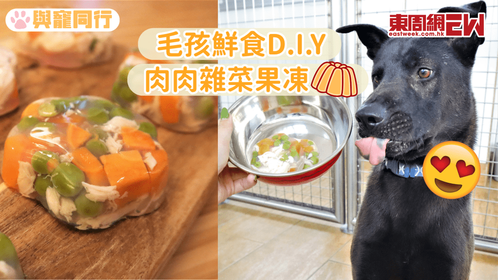 D.I.Y抗暑狗狗零食 雞肉蕃薯紅蘿蔔 做出健康美味肉肉果凍