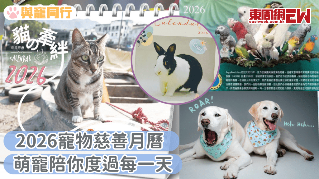 2026寵物慈善月曆 貓狗兔鸚鵡陪伴你度過每一天