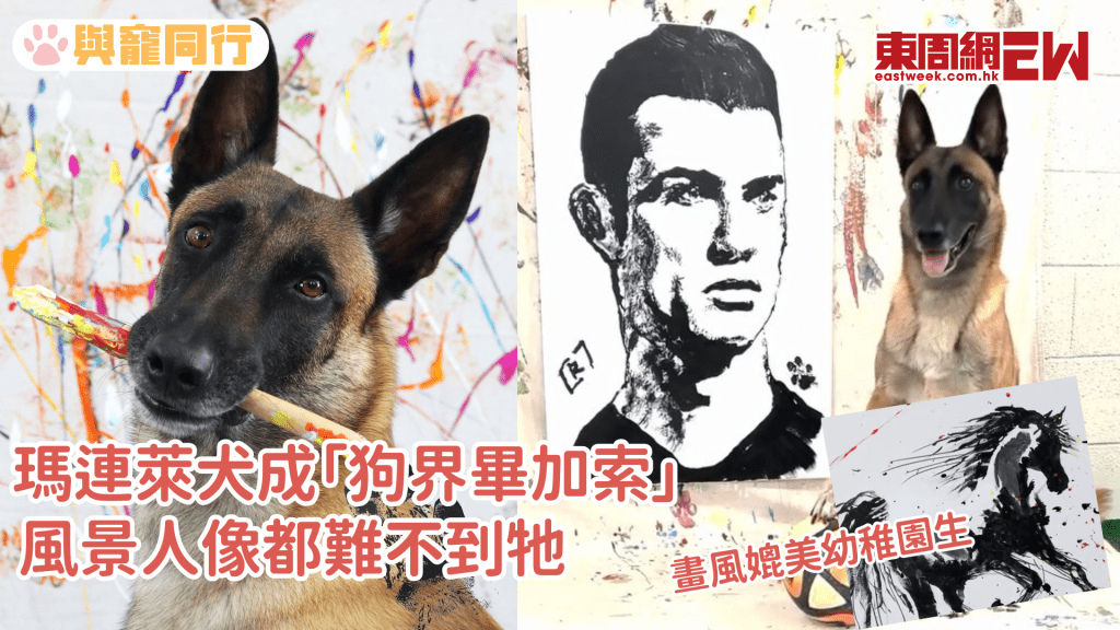 狗狗畫出C朗拿度 正向訓練培育成畫家 畫作索價過萬