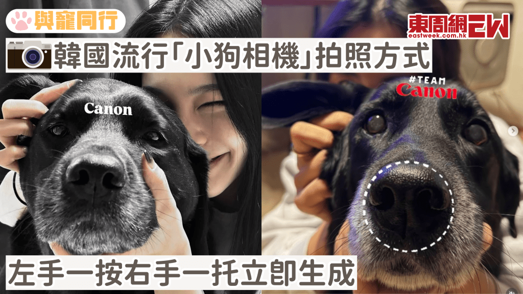 韓國寵主流行「小狗相機」拍照方式 左手一按右手一托立即生成